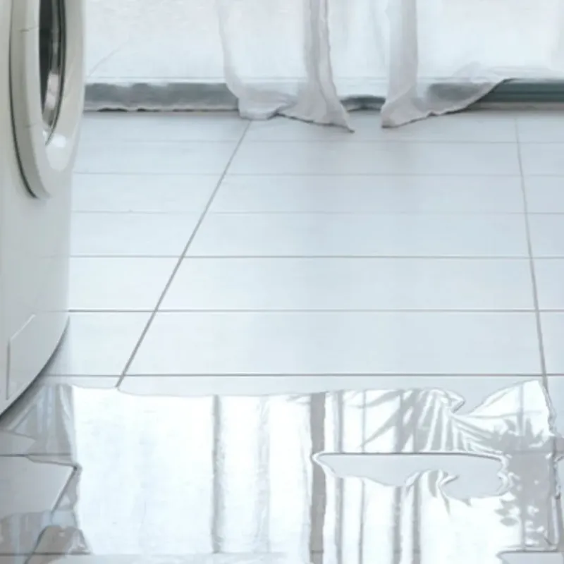 Appliance Leak Cleanup in Grapeland, TX