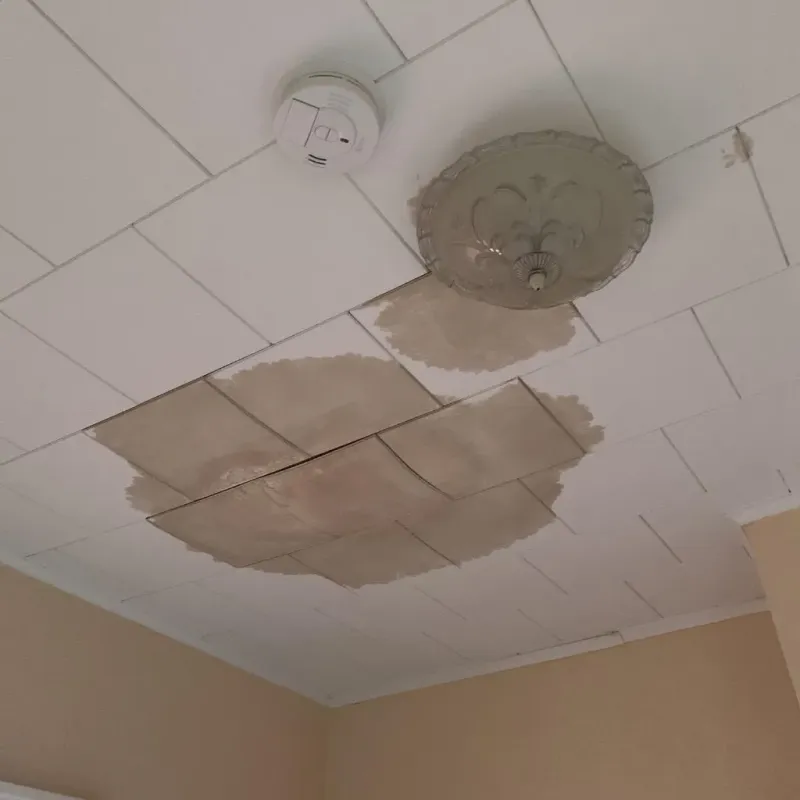 Ceiling Water Damage Repair in Grapeland, TX